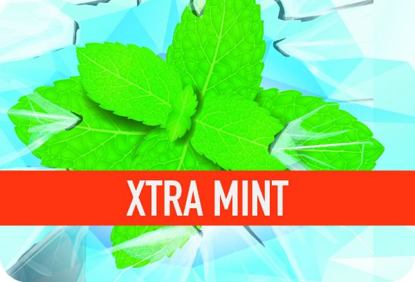 Xtra Mint Aroma by FlavourArt - 10ml