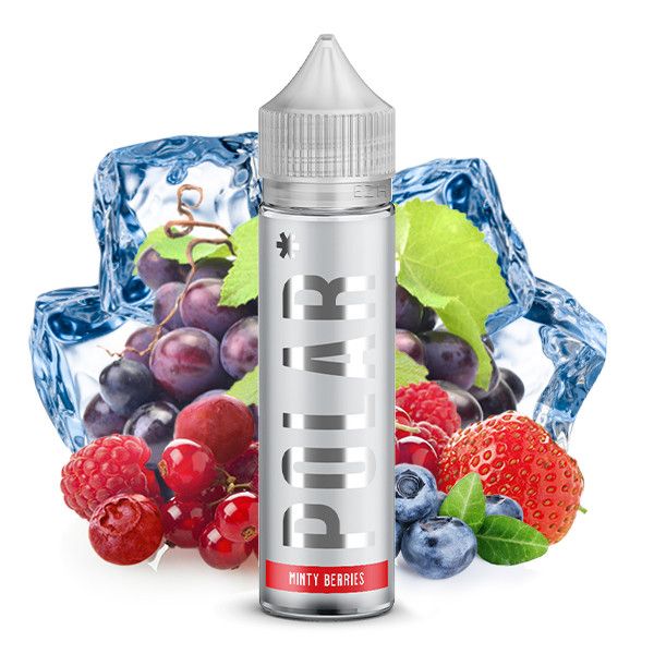 POLAR Minty Berries Aroma - 20ml